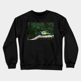 Green Jay Out On A Limb Crewneck Sweatshirt